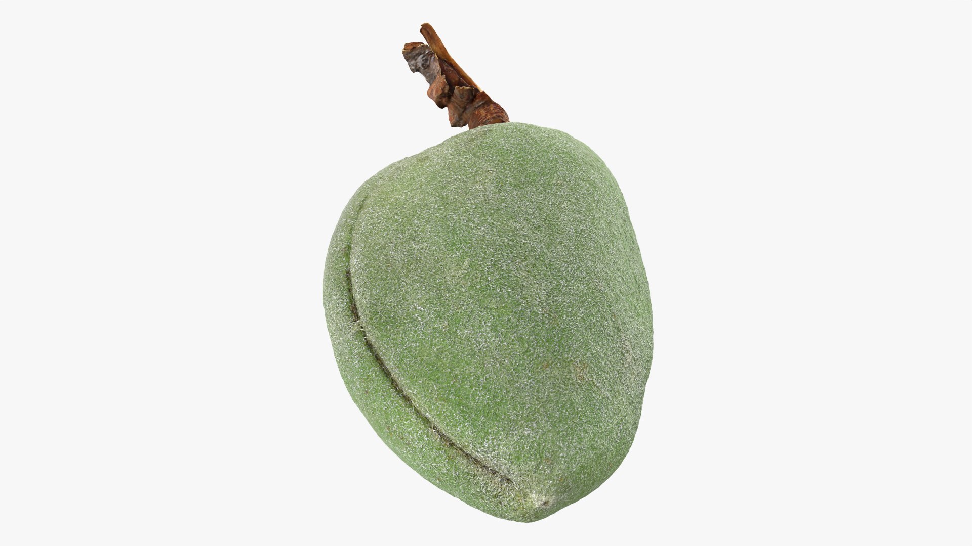 3D model Green Almond Collection https://p.turbosquid.com/ts-thumb/WQ/CZ3U6E/Jy/almondgreen02_0009/png/1782483787/1920x1080/fit_q87/753e5c7c10cfbd3678d198c359207f79dbc15412/almondgreen02_0009.jpg