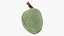 Green Almond Collection
