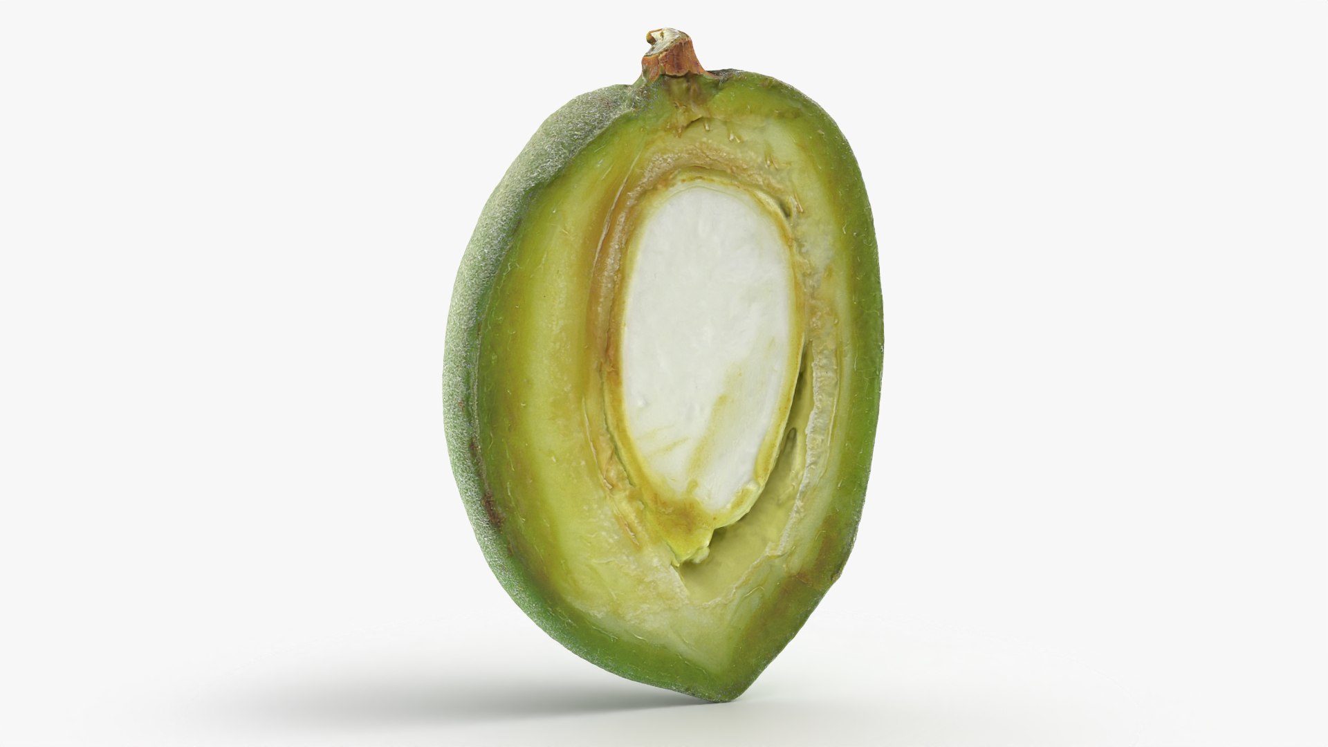 3D model Green Almond Collection https://p.turbosquid.com/ts-thumb/WQ/CZ3U6E/Yl/almondgreencut_0001/png/1782483827/1920x1080/fit_q87/d251776f56c12857c89b9ad95757b4bcbb33f009/almondgreencut_0001.jpg