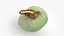 Green Almond Collection