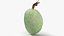 Green Almond Collection