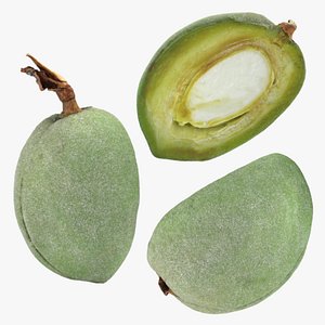 3D model Green Almond Collection