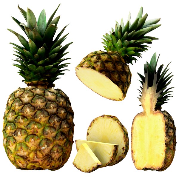 3D model Pineapple PBR