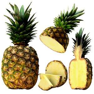 Pineapple PBR