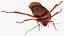 3D Rigged Animated Cockroach Collection model