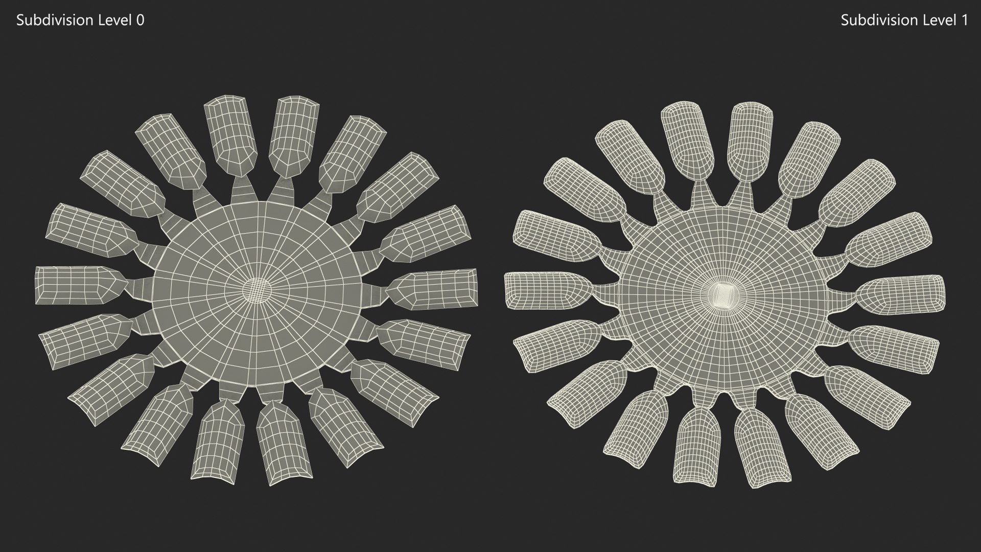 Nail Display Sunflower Shaped 3D https://p.turbosquid.com/ts-thumb/WQ/RAI364/I4/naildisplaysunflowershaped3dsmodel010/jpg/1665414635/1920x1080/fit_q87/c572c3966529527991042816322a84b01b06514a/naildisplaysunflowershaped3dsmodel010.jpg