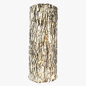 3D model camphor bark