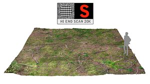 Forest litter ground 20K scan HD