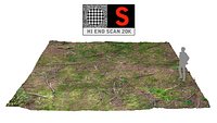 Forest litter ground 20K scan HD