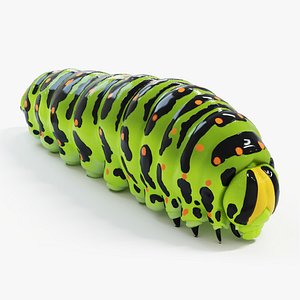 Papilio Machaon Caterpillar Static 3D