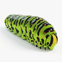 Papilio Machaon Caterpillar Static