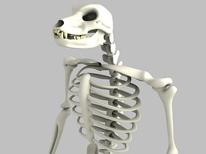 3d skeleton beast