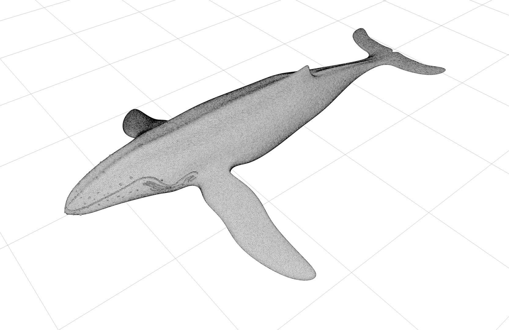 3D humpback whale https://p.turbosquid.com/ts-thumb/WQ/goYgZ4/93LRxjAn/screenshot20190326at11.03.33am/png/1553613185/1920x1080/fit_q87/b42c7a554569342eae6aecd82085fd1c44492fda/screenshot20190326at11.03.33am.jpg