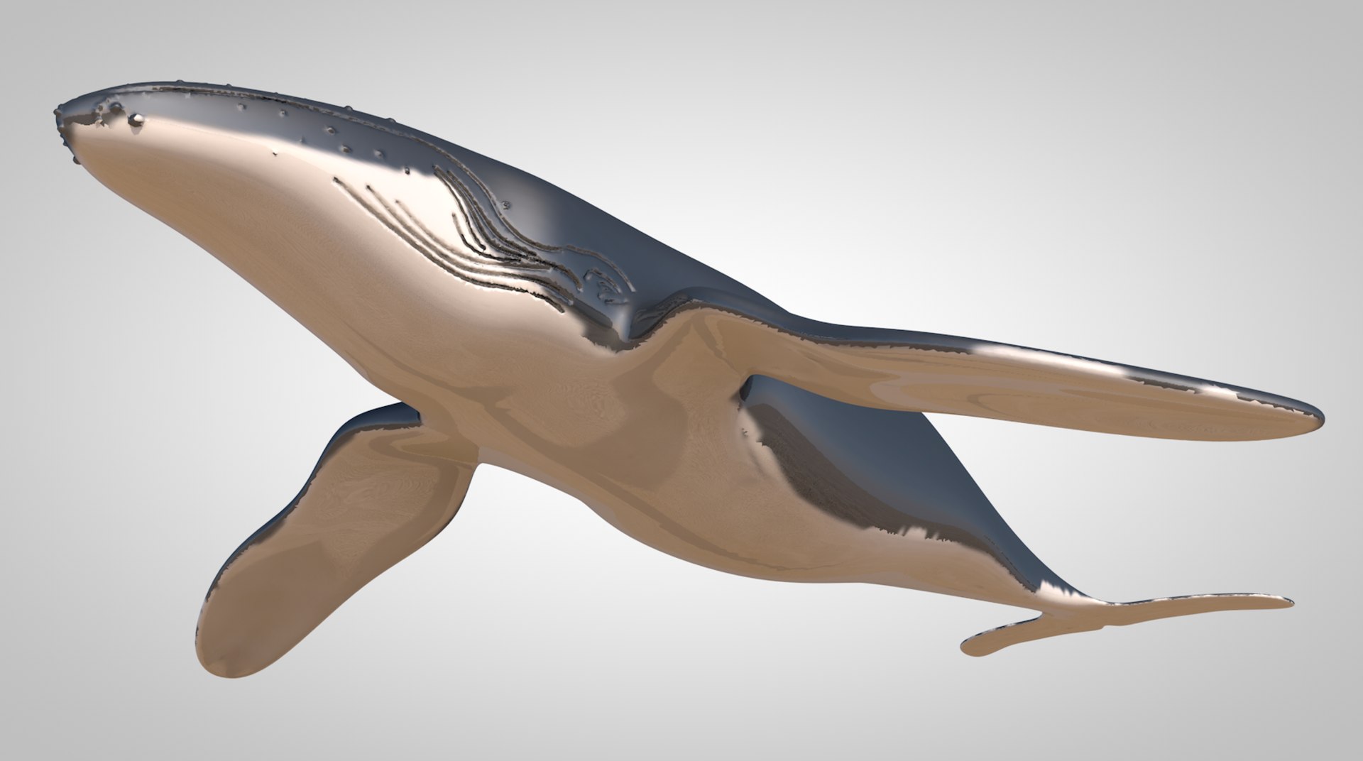 3D humpback whale https://p.turbosquid.com/ts-thumb/WQ/goYgZ4/nNrUxKxr/screenshot20190326at11.02.48am/png/1553613185/1920x1080/fit_q87/4b3f30598535b77d3453c8f3be70960c6f6239a2/screenshot20190326at11.02.48am.jpg