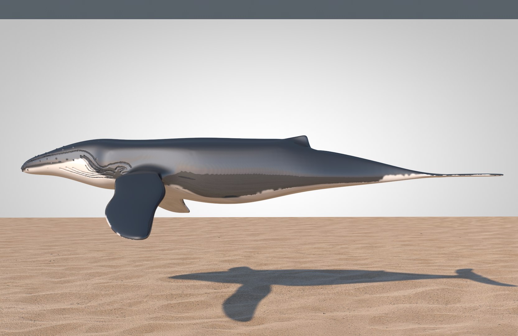 3D humpback whale https://p.turbosquid.com/ts-thumb/WQ/goYgZ4/rZWg5FQV/screenshot20190326at11.03.06am/png/1553613185/1920x1080/fit_q87/5b8e336a3d64a69faec1a3f96a04c7406df12b37/screenshot20190326at11.03.06am.jpg
