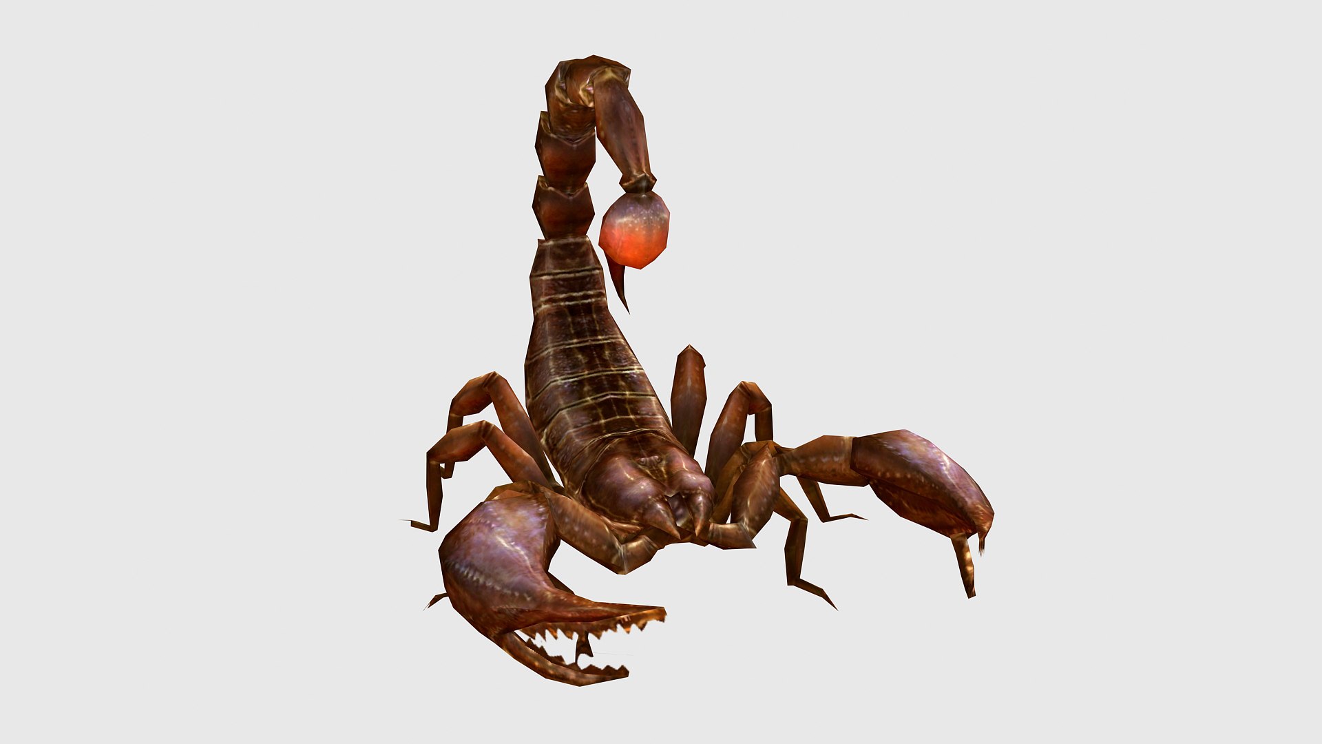 Animated Scorpion Model - TurboSquid 2152951