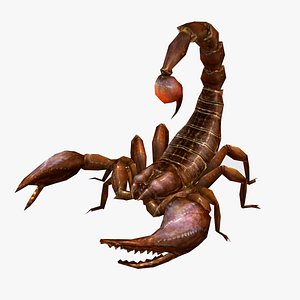 Animated scorpion model