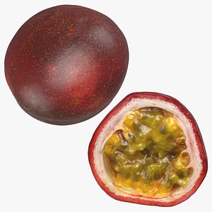 Passionfruit Set 3D model