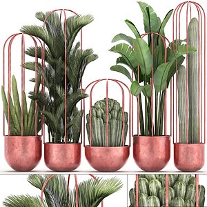 houseplants exotic plants 3D model