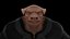 Personnage fantastique de cochon