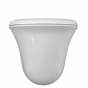 wall hung water closet model