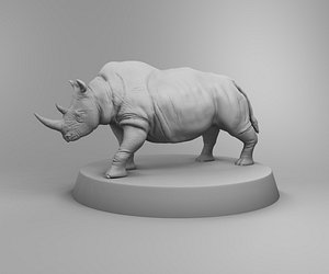 africa rhino 3D model