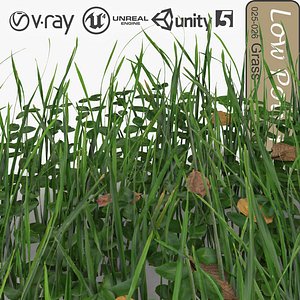 3ds max grassy plant grass 011