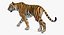 tiger walkig pose 3D
