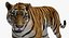 tiger walkig pose 3D