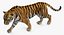 tiger walkig pose 3D