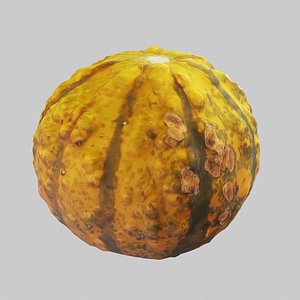 Green and Yellow Gourd 3D