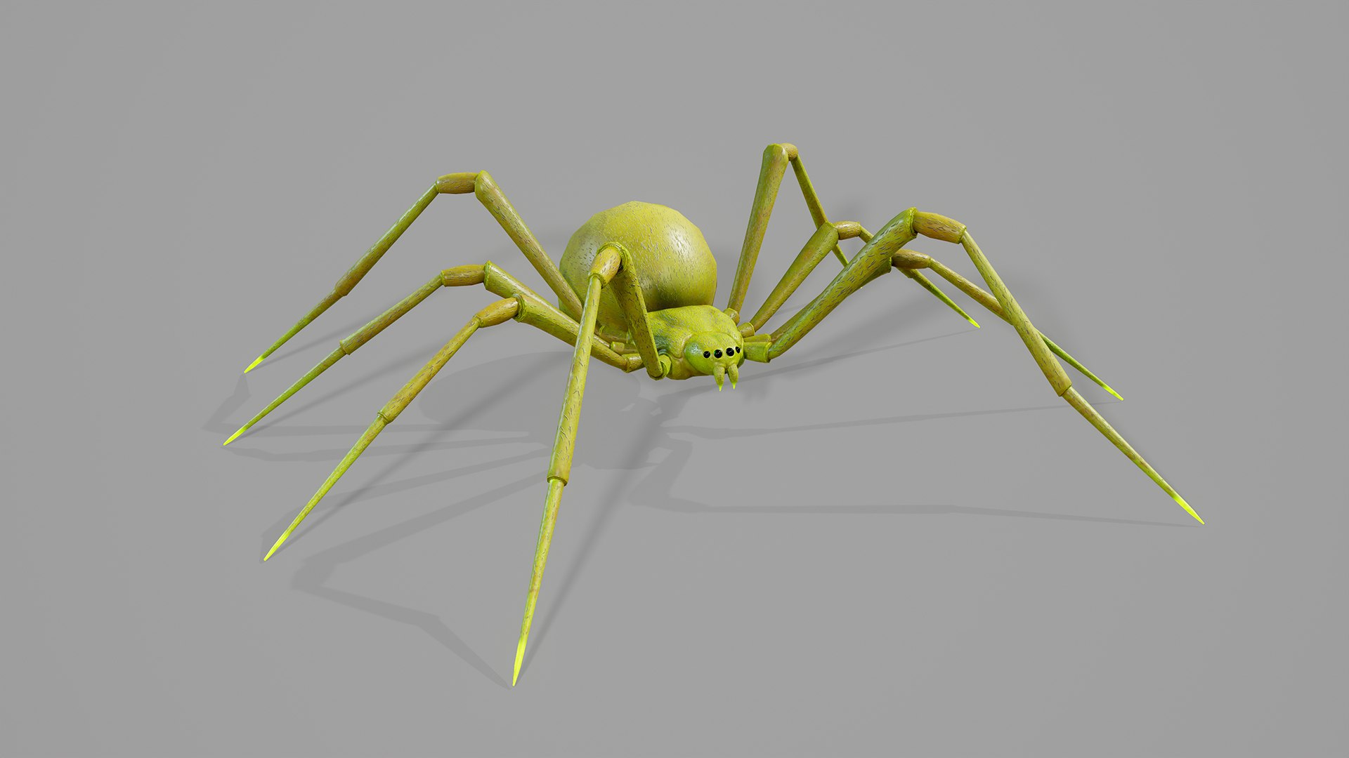 Stylized spider 2 3D model https://p.turbosquid.com/ts-thumb/WR/KhrPJi/05/03/png/1778944397/1920x1080/fit_q87/b057b35eea668f1e725c3bf7fe6a8ba3c3b1b914/03.jpg