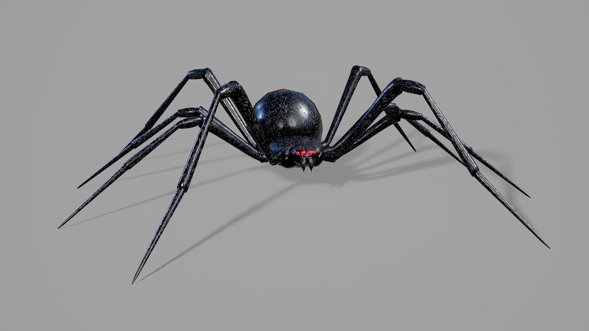 Stylized spider 2 3D model https://p.turbosquid.com/ts-thumb/WR/KhrPJi/0O/14/png/1778944403/1920x1080/fit_q87/e2c81814bd86de1c0ef1f7af066522ffba6f5c0d/14.jpg
