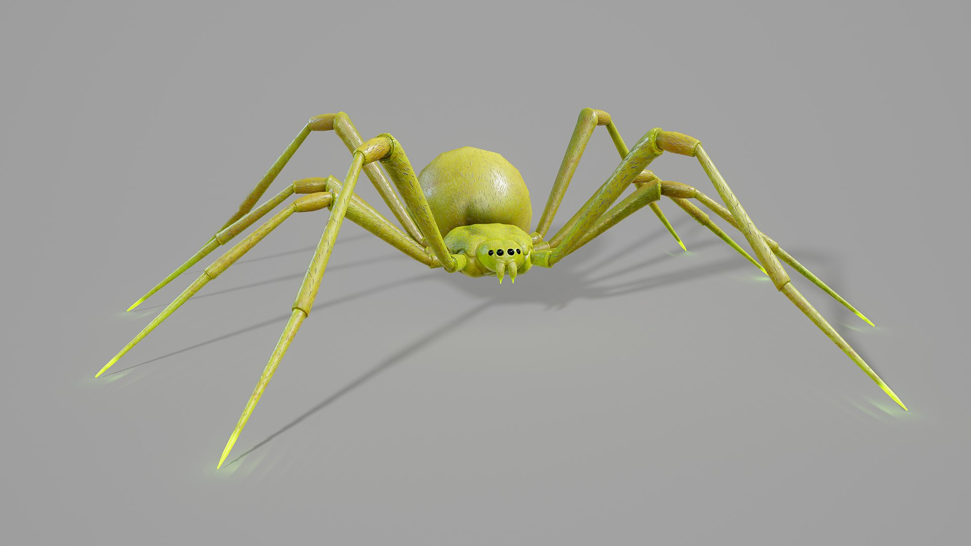 Stylized spider 2 3D model https://p.turbosquid.com/ts-thumb/WR/KhrPJi/FU/12/png/1778944403/1920x1080/fit_q87/e1f1e3a1c672e6691ede99bb40a72945e385a7c2/12.jpg