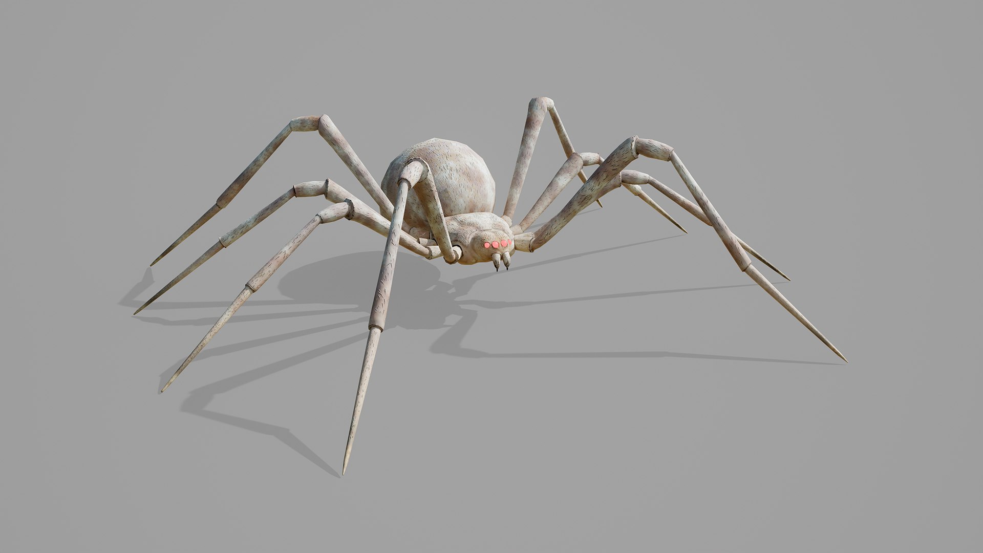 Stylized spider 2 3D model https://p.turbosquid.com/ts-thumb/WR/KhrPJi/Nu/07/png/1778944400/1920x1080/fit_q87/03f6166991c554035d69dadf87b9e1f4353dd020/07.jpg
