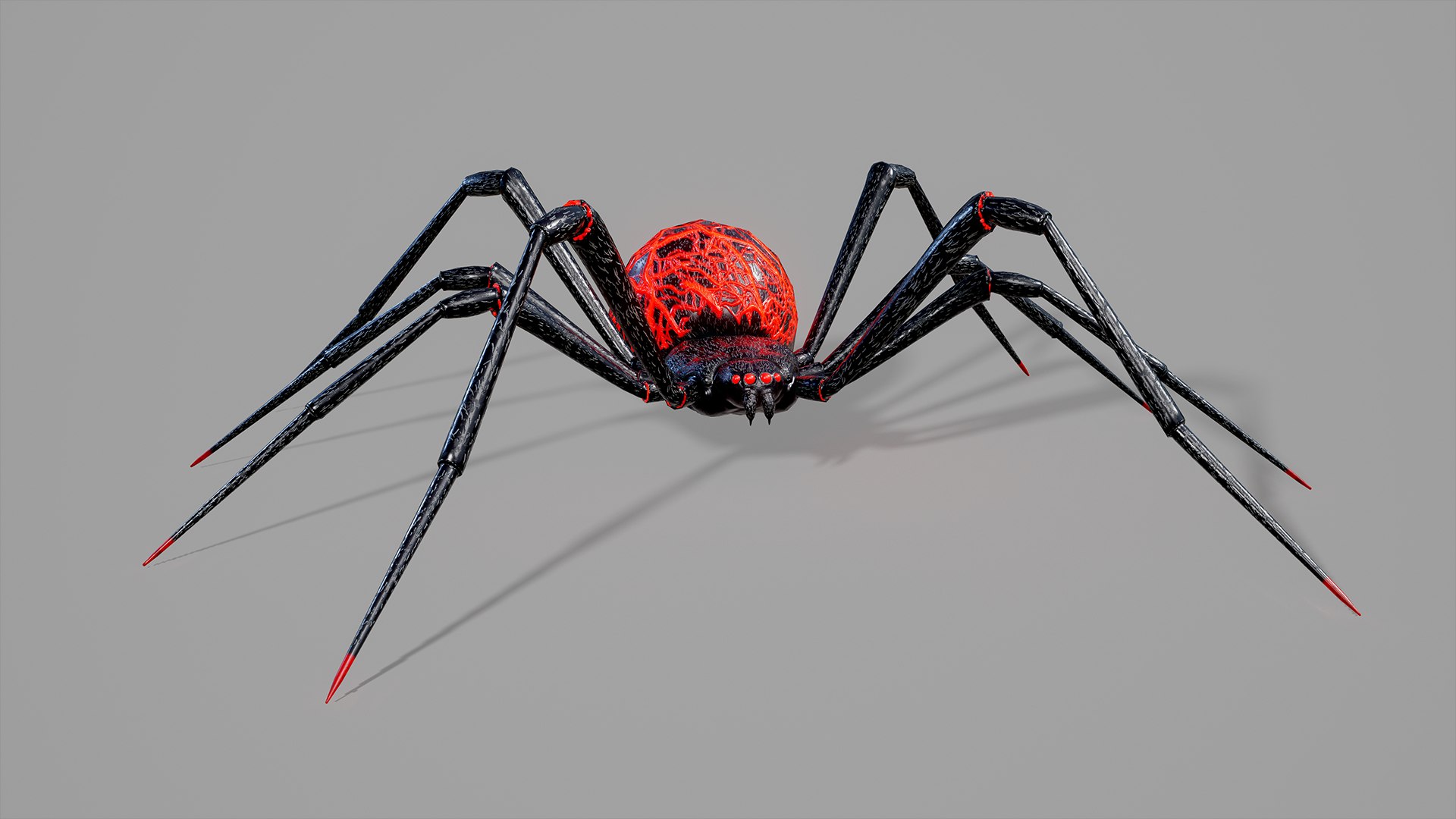 Stylized spider 2 3D model https://p.turbosquid.com/ts-thumb/WR/KhrPJi/Yr/15/png/1778944404/1920x1080/fit_q87/072fd55eda3d2ba697b37fb9815792c863c91d0e/15.jpg