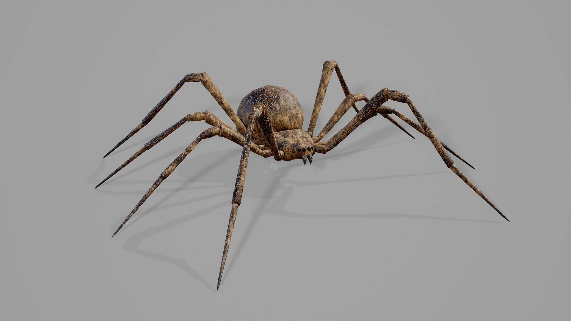 Stylized spider 2 3D model https://p.turbosquid.com/ts-thumb/WR/KhrPJi/sG/04/png/1778944398/1920x1080/fit_q87/6ff83ba9c5d75d8444804156d92fb444d5515113/04.jpg