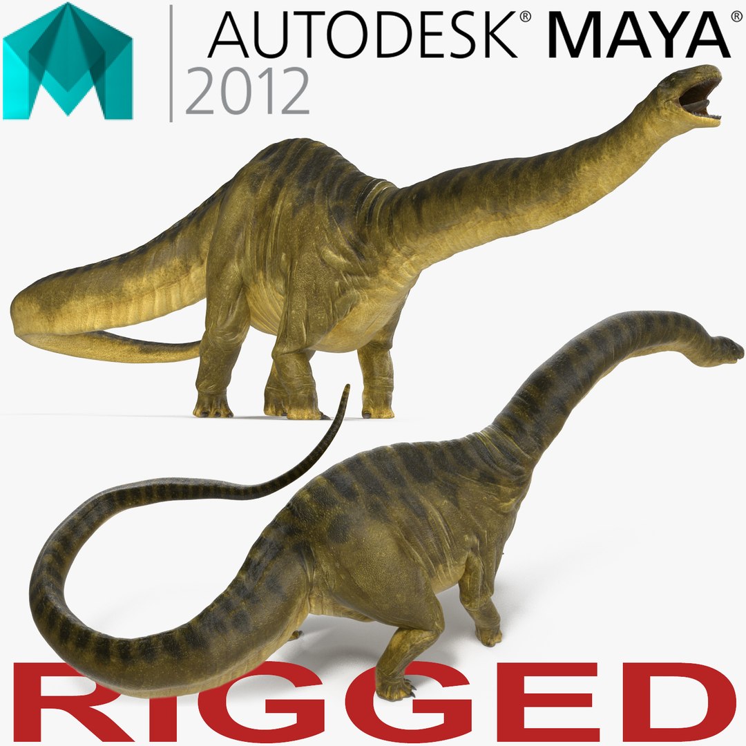 Apatosaurus Dinosaur Rigged for Maya 3D model preview