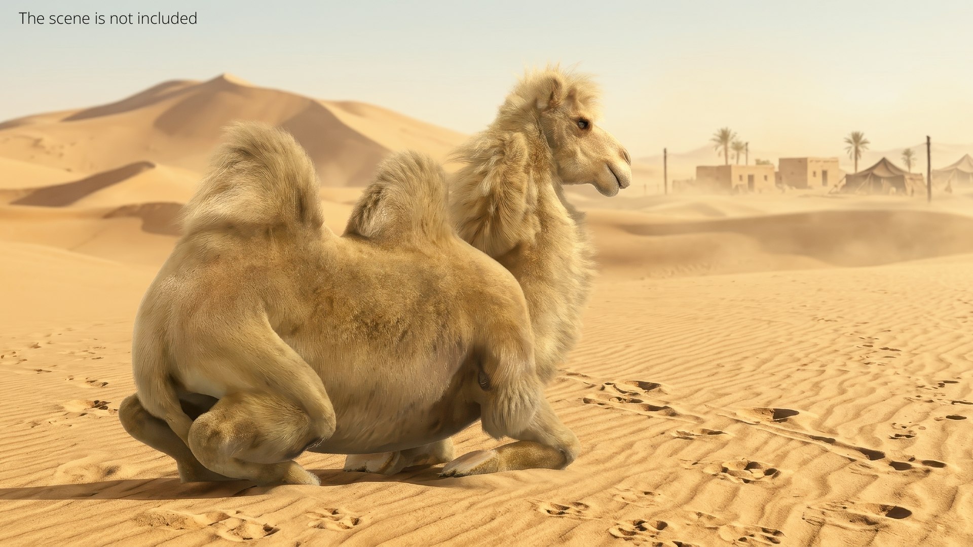 3D Bactrian Camel Fur Sit Down Animated Rigged for Maya model https://p.turbosquid.com/ts-thumb/WR/g3QrmO/JB/bactrian_camel_fur_sit_down_animated_rigged_for_maya_003/jpg/1777361801/1920x1080/fit_q87/703b8d24e254908a15eed13989713775f4a89acf/bactrian_camel_fur_sit_down_animated_rigged_for_maya_003.jpg