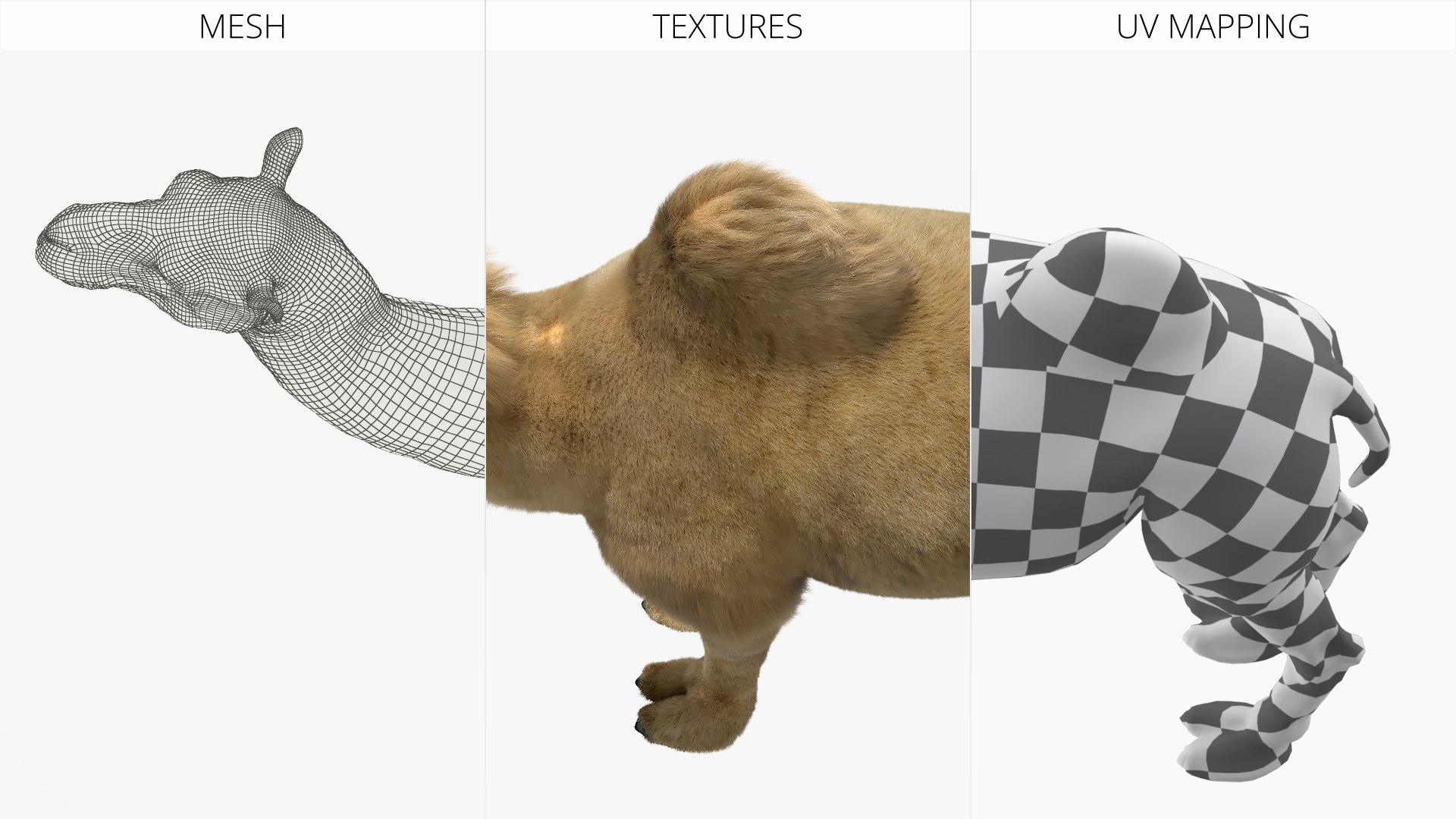 3D Bactrian Camel Fur Sit Down Animated Rigged for Maya model https://p.turbosquid.com/ts-thumb/WR/g3QrmO/s8/bactrian_camel_fur_sit_down_animated_rigged_for_maya_012/jpg/1777361829/1920x1080/fit_q87/d5d4132d3446202675ebbafda4b1fa8c9d0a4c51/bactrian_camel_fur_sit_down_animated_rigged_for_maya_012.jpg