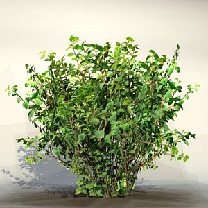 3d model pc bush