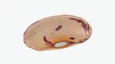Pinto Bean 02 - 3D Scanned