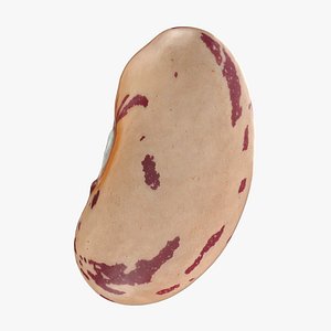 Pinto Bean 02 - 3D Scanned 3D