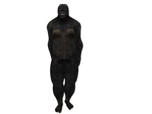 Gorilla tag - Gorilla: textured, rigged, colour - Download Free 3D model by  asduf28349 (@asduf28349) [43404d6]