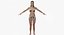 Realistic Woman