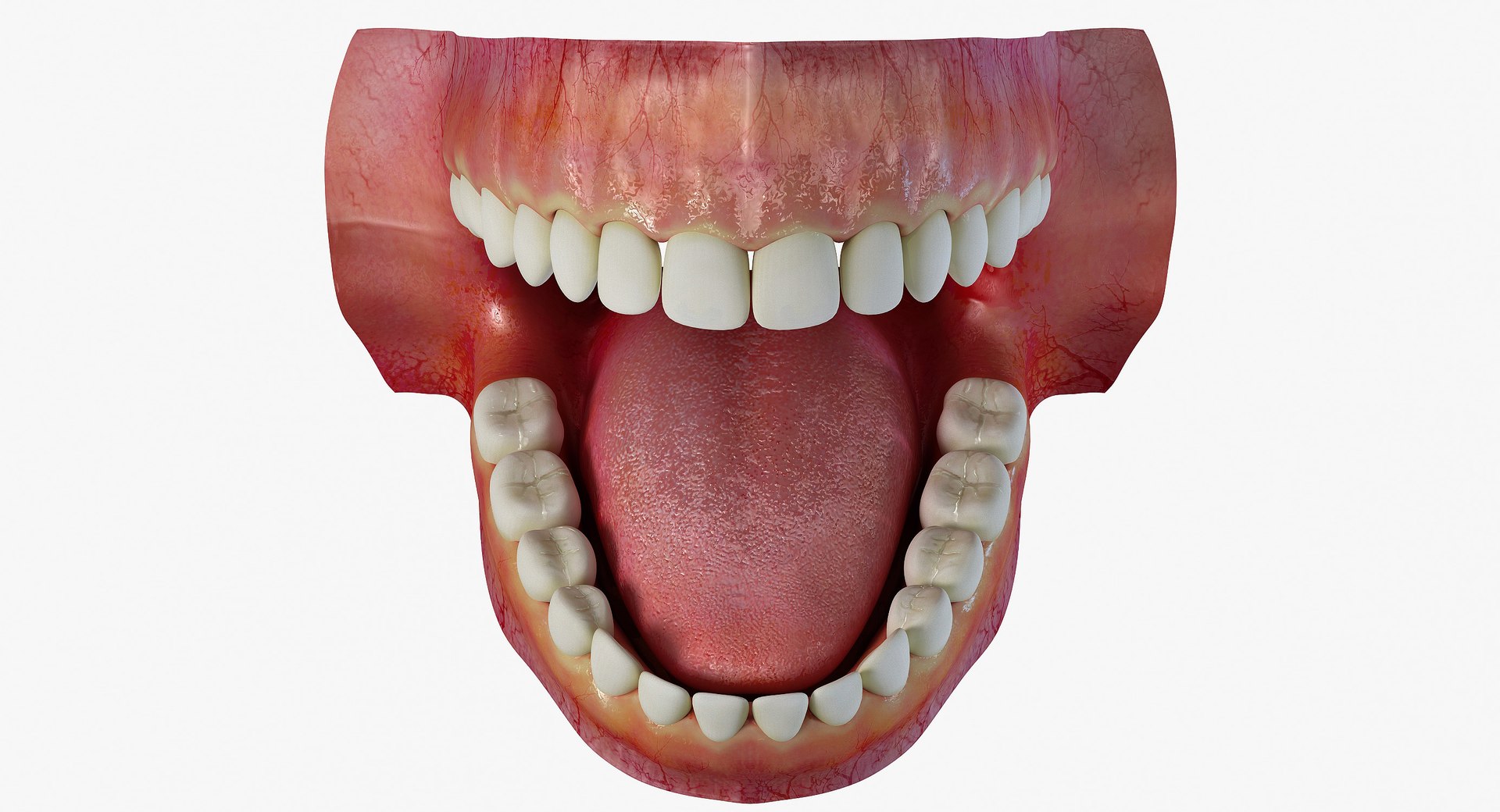 3d woman body https://p.turbosquid.com/ts-thumb/WR/og9wvl/qChyOfu4/19/jpg/1431620368/1920x1080/fit_q87/3f98e235e7cdd7b6c7320c2e38cac79618ac1969/19.jpg