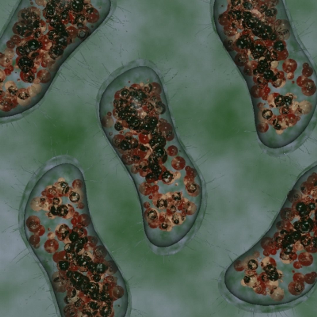 20 micro objects set 3d model https://p.turbosquid.com/ts-thumb/WR/vgc6VJ/pkgET0nF/paramecium/jpg/1214237622/1920x1080/fit_q87/61c3f38211bbb307842e1c64b311dd5a0f0172ad/paramecium.jpg