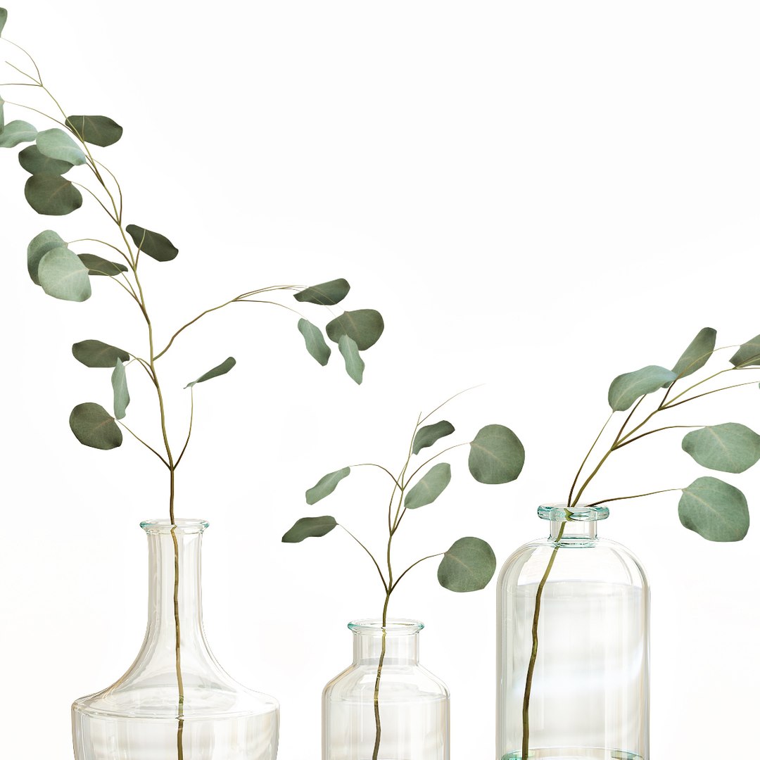 3D eucalyptus 4 vases decor https://p.turbosquid.com/ts-thumb/WS/3ZKlfR/ekwZRYL2/big_3/jpg/1607954963/1920x1080/fit_q87/604277a5455aac821b3482fbdb3bff90ecaa3579/big_3.jpg