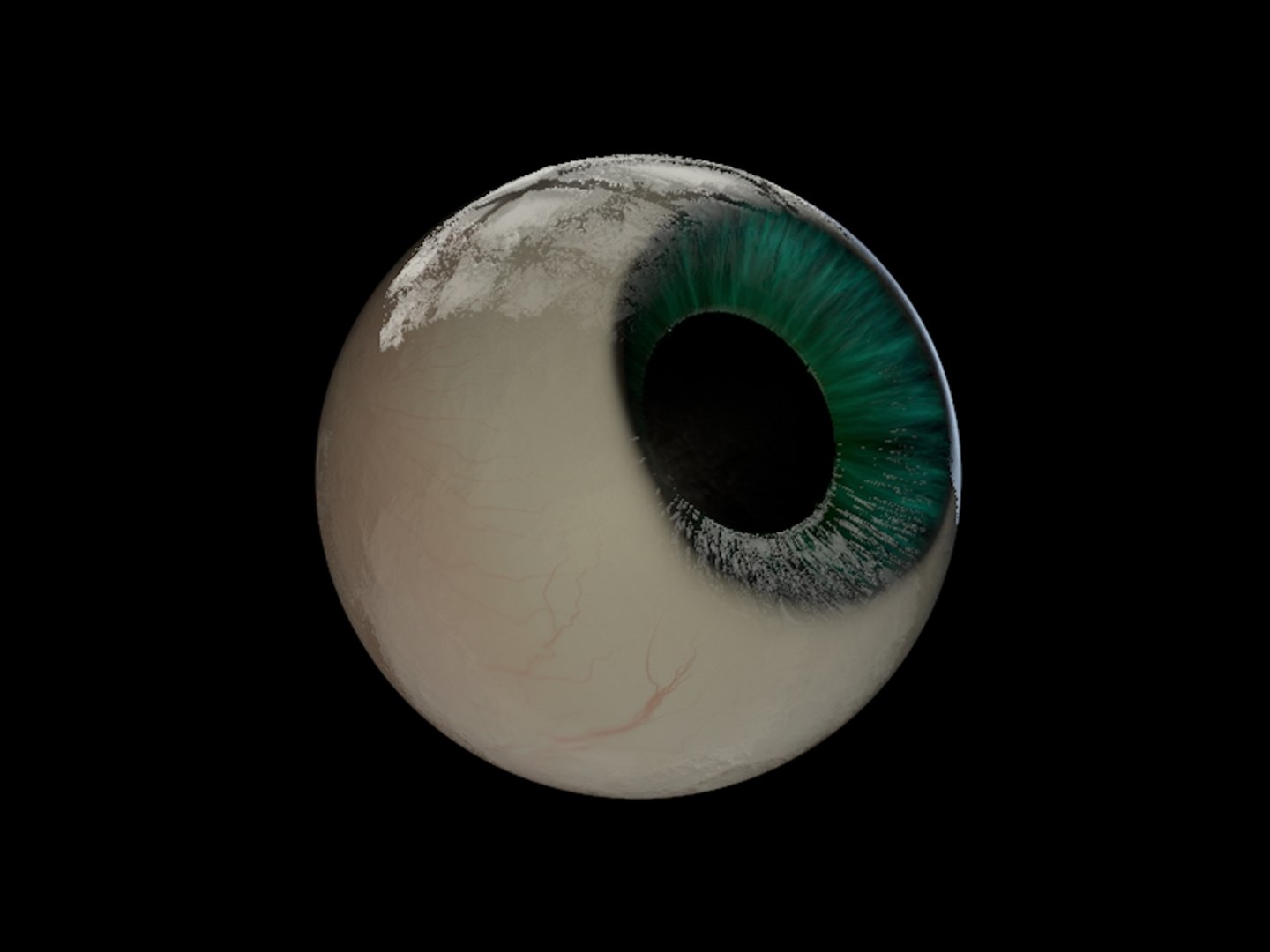 Anatomically Eyeball Fully Eye 3d Model