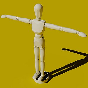 Artist Pose Figure Model